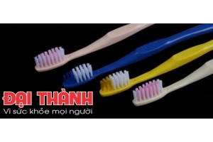Bàn chải 6
